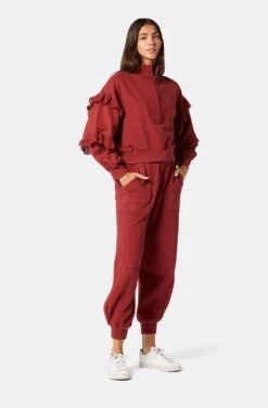 Joie Camille Cotton Sweater -Joie Shop 22 3 009186 SS00987 RUSSETBROWN CAMILLE 4