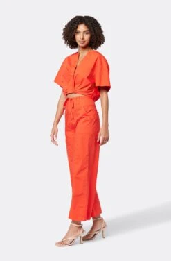 Joie Mara Cotton Pant -Joie Shop B0032F2536 VBRD 4