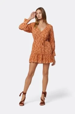 Joie Bree Mini Silk Dress 13 Joie Bree Mini Silk Dress -Joie Shop D0015A09306 CLML 1