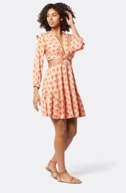Joie Maeve Mini Dress -Joie Shop D0024A9364 BVRM 3