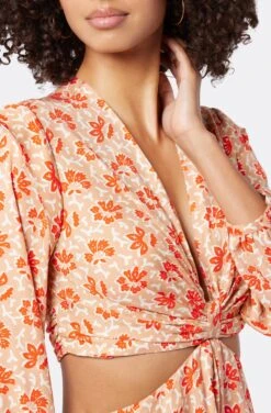 Joie Maeve Mini Dress -Joie Shop D0024A9364 BVRM 6