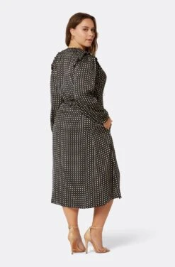 Joie Kailey Midi Dress 25 Joie Kailey Midi Dress -Joie Shop D0059X09304 CCBE 5