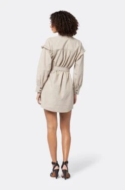 Joie Iggy Mini Cotton Dress -Joie Shop D0063F09190 OAT 5