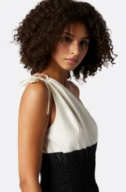 Joie Remi B Dress -Joie Shop D0101BF2536 CAV 5