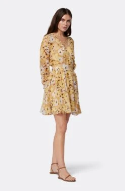 Joie Clara Mini Silk Dress -Joie Shop D0109A9368 AGLM 3