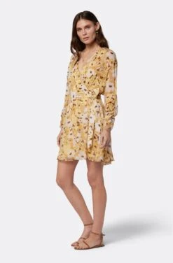 Joie Clara Mini Silk Dress -Joie Shop D0109A9368 AGLM 4