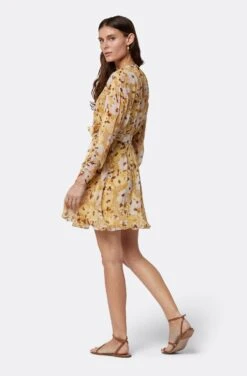 Joie Clara Mini Silk Dress -Joie Shop D0109A9368 AGLM 5