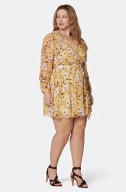 Joie Clara Mini Silk Dress -Joie Shop D0109X9368 AGLM 3