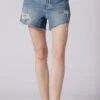 Joie Greer Shorts -Joie Shop N0057D13200 SLVW 4