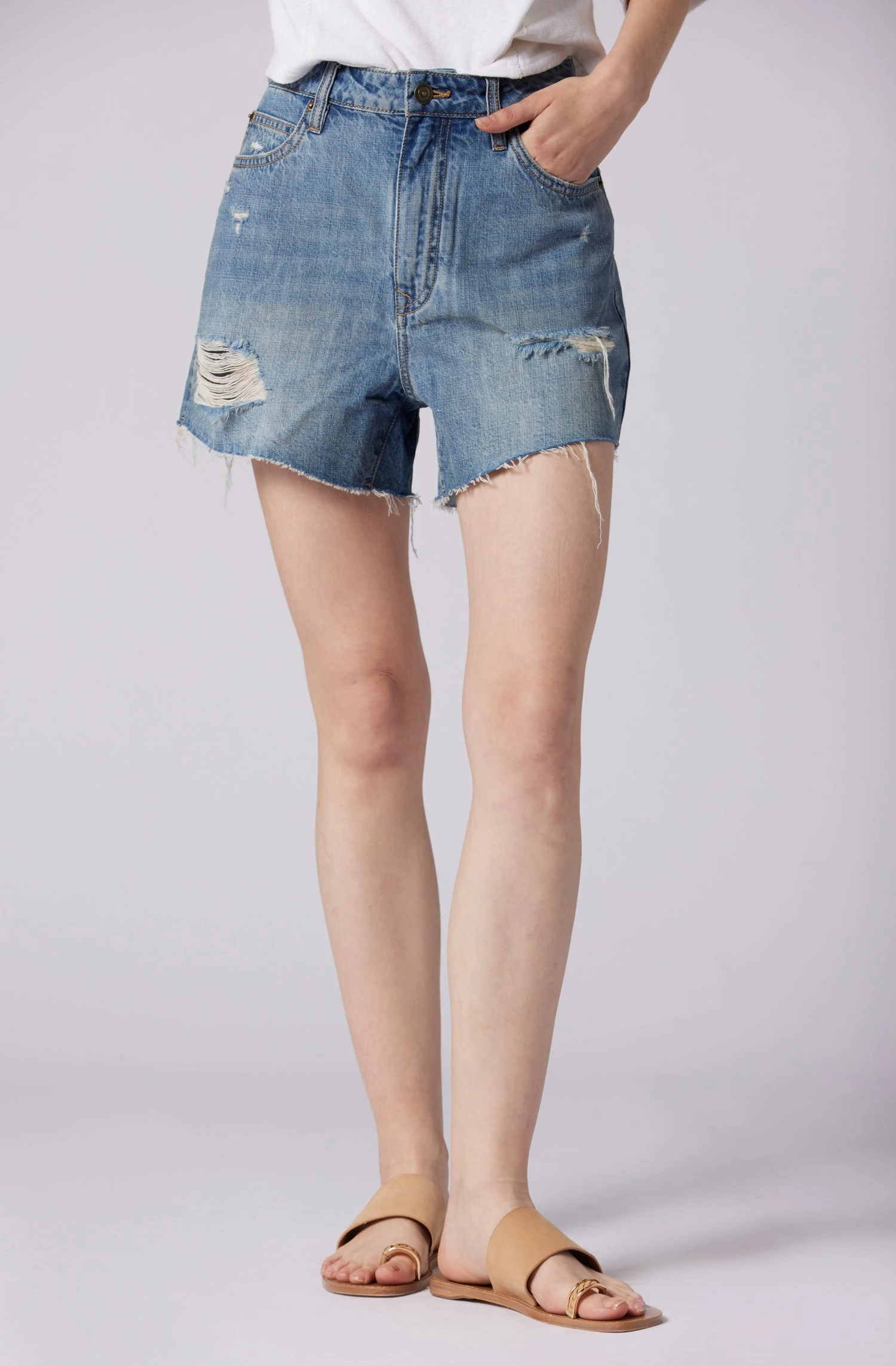 Joie Greer Shorts 3 Joie Greer Shorts