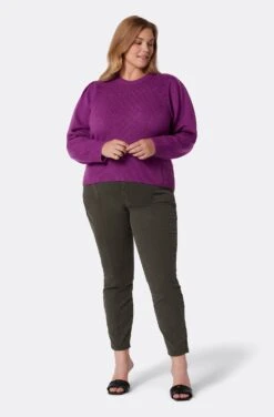 Joie Iena Wool Sweater -Joie Shop SW02305I2827 PHLX 1