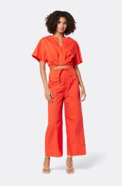 Joie Iris Short Sleeve Cotton Top -Joie Shop T0054F2536 VBRD 1