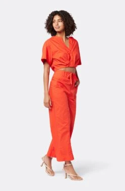 Joie Iris Short Sleeve Cotton Top -Joie Shop T0054F2536 VBRD 3